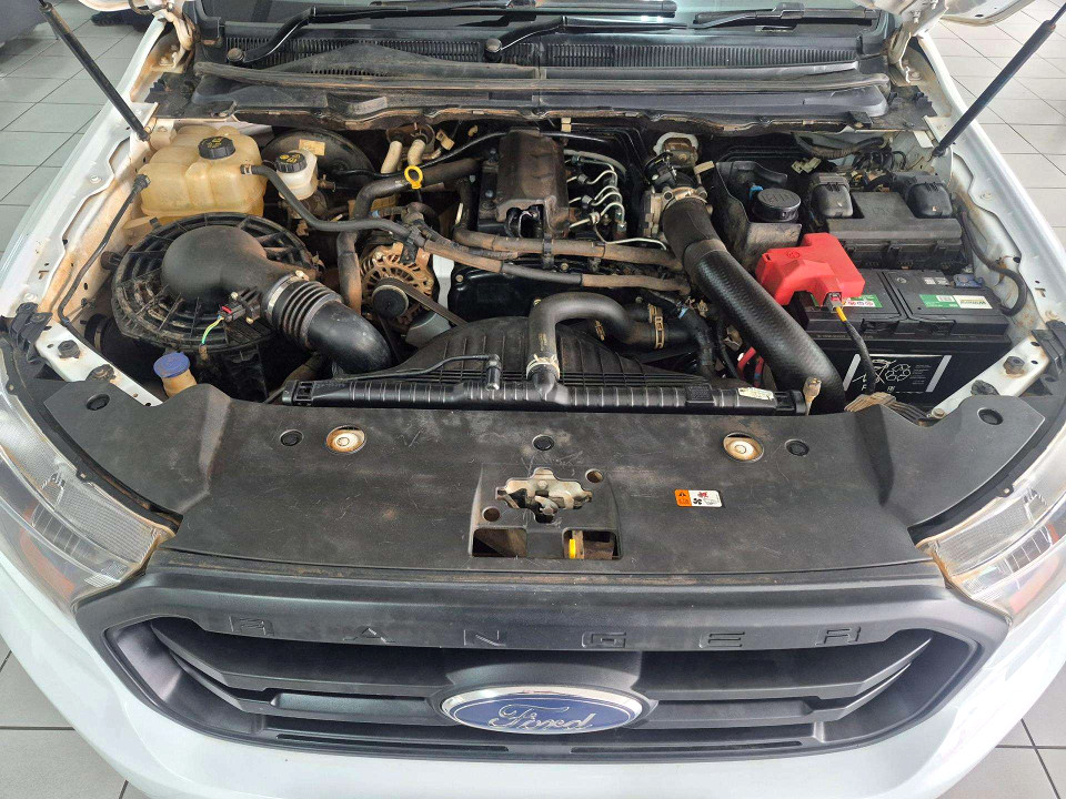 Photo 20 of 20