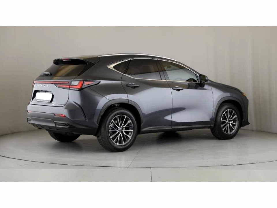 Photo 7 of 29