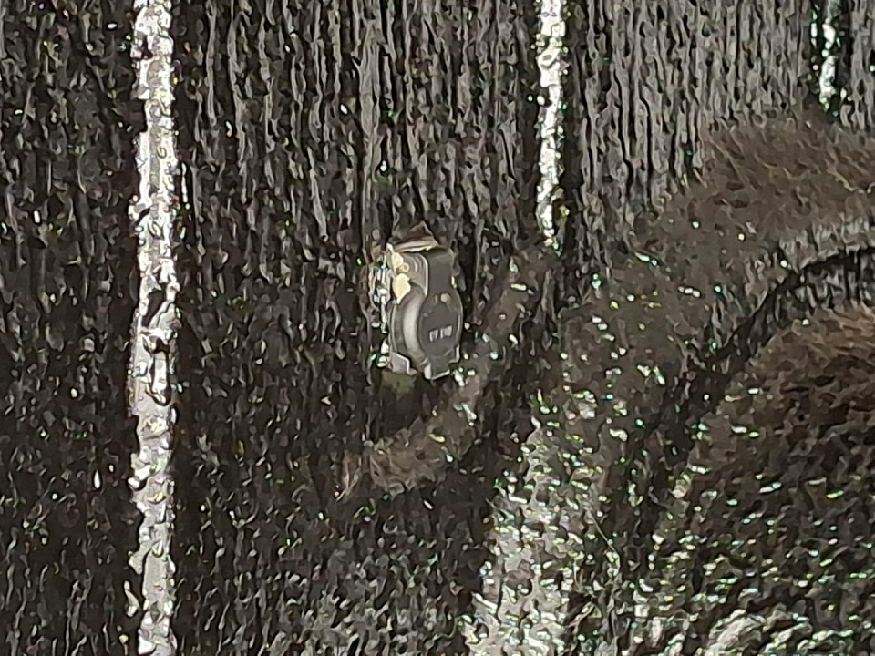 Photo 26 of 26