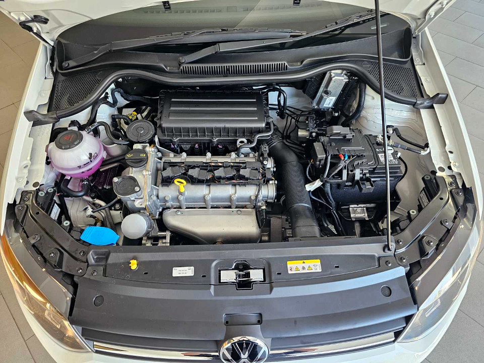 Photo 20 of 20