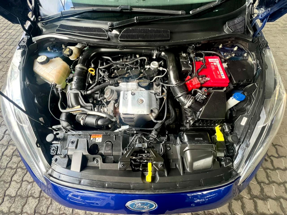 Photo 12 of 20