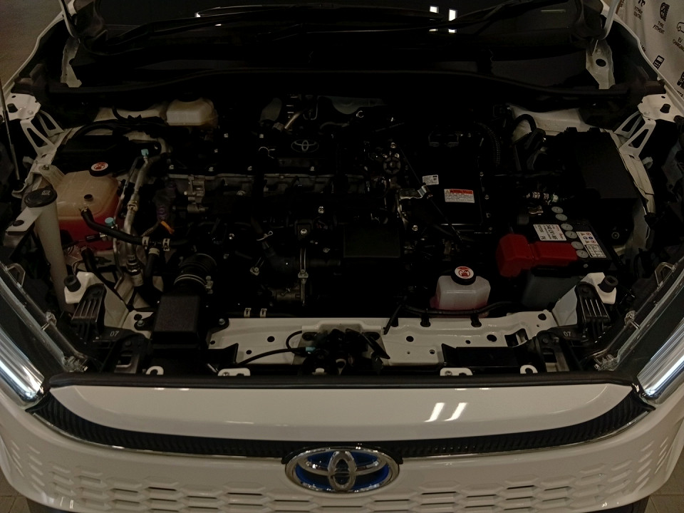 Photo 19 of 19