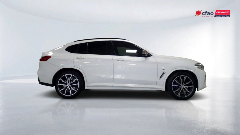 Photo 3 of 19