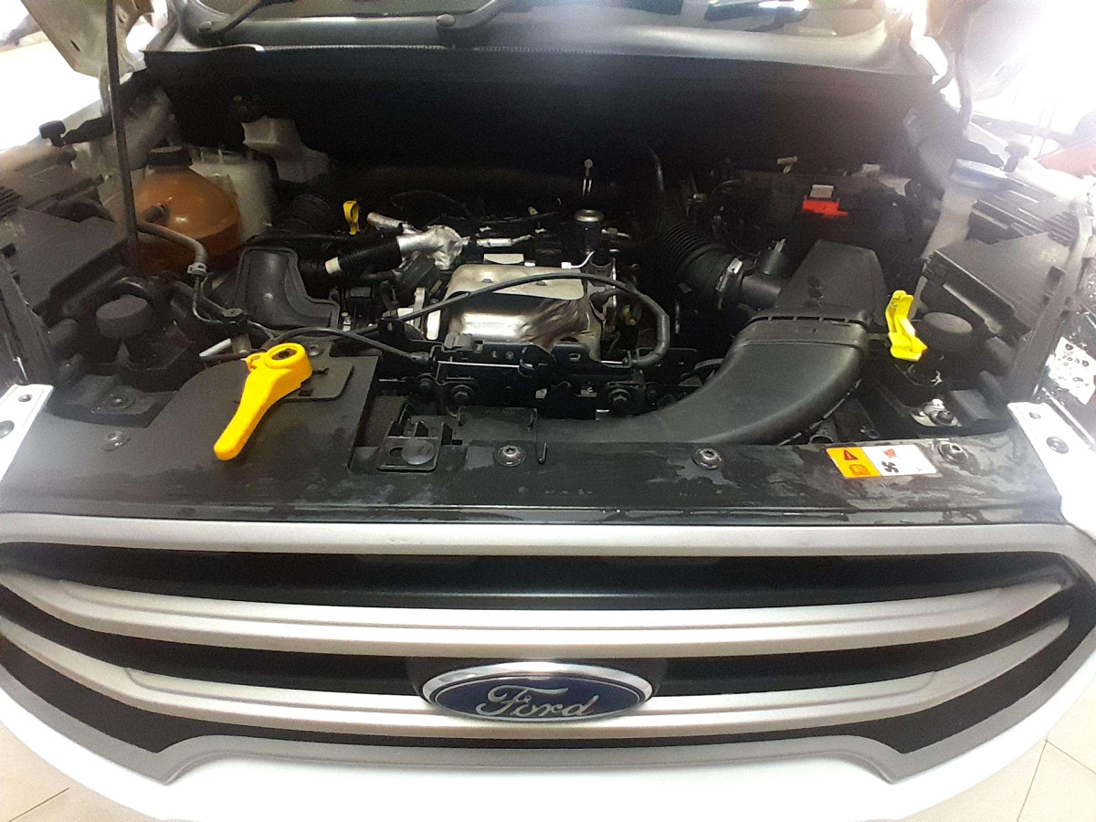 Photo 9 of 20