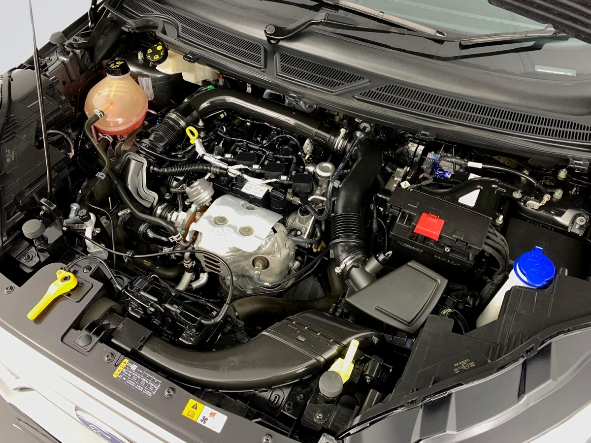 Photo 8 of 20