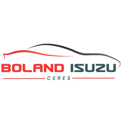 Car dealer