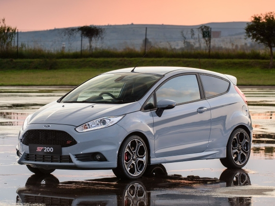 Fiesta Image